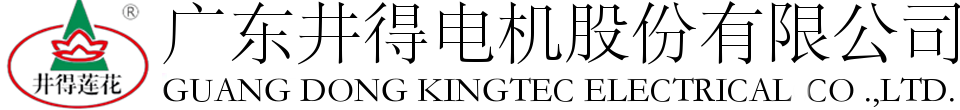 廣東井得電機股份有限公司